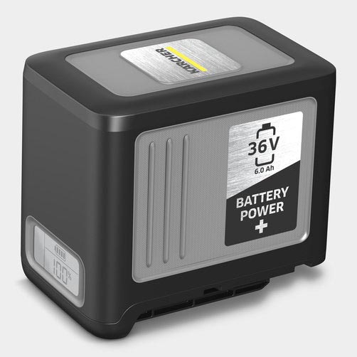 Starter Kit Battery Power+  36/60
